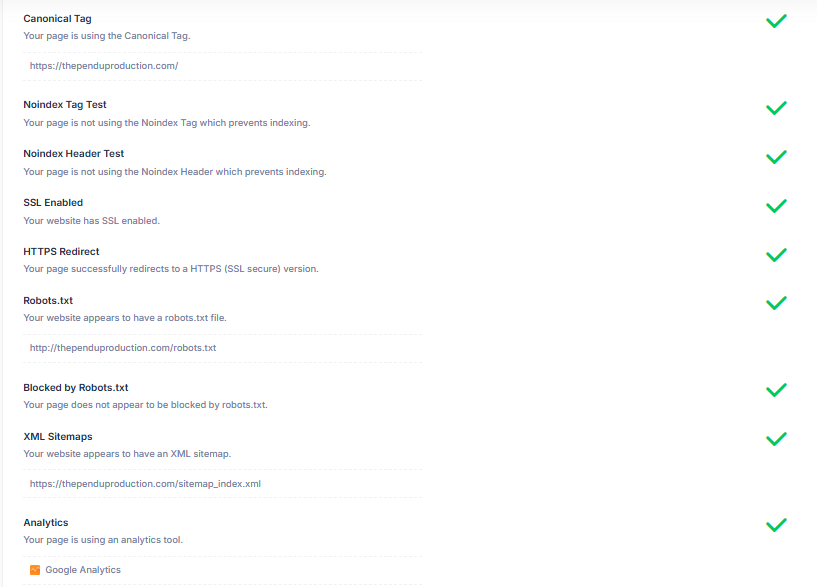the pendu production project seo case study screenshot 4