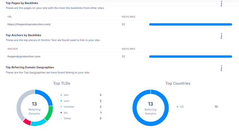 the pendu production project seo case study screenshot 3